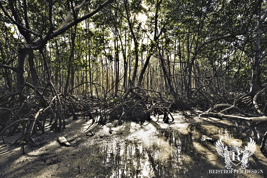 reistroffer-design-mangroves